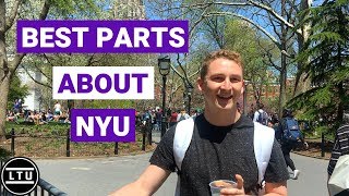 The BEST Parts About NYU  New York University  Campus Interviews  LTU [upl. by Komarek298]