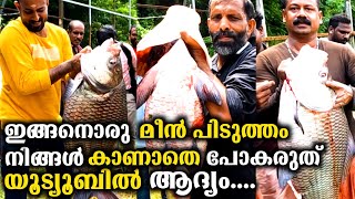 ഇതാണ് മക്കളെ മീൻ പിടുത്തം Frist In Youtube  Fish Farming Malayalam  Fish Farming In Kerala [upl. by Anelrad]