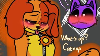 CatNap Has Learned The Secret Of DogDay😱 l Poppy Playtime Chapter 3┃Comic dub [upl. by Yartnoed295]