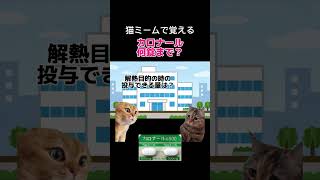 カロナール何錠まで？🏥カンゴ猫ミーム [upl. by Seligmann80]