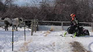 Tucker Hibbert returns to the Teton Valley [upl. by Ocin]