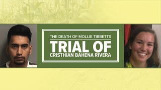 WATCH LIVE Day 2 of the Cristhian Bahena Rivera murder trial [upl. by Ahsiem]