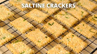 SALTINE CRACKERS [upl. by Pan158]