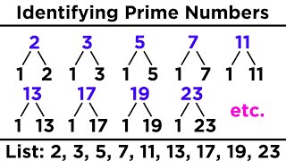 Divisibility Prime Numbers and Prime Factorization [upl. by Lamar]