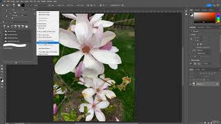 2 How to Import Brushes in Photoshop EP 070 [upl. by Aehsat]