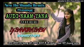 AUDINAM TANA CHEENew Ho Munda Remix Songs 2024DJ BANKIRA BABU128k [upl. by Ingemar]