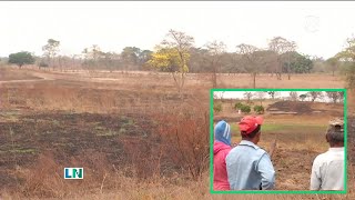 Pedro Carbo Agricultores al borde de la desesperación por sequía [upl. by Specht364]