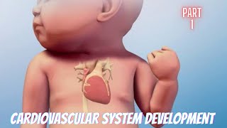 How cardiovascular system develops in our body Part 1 [upl. by Nelyaw777]