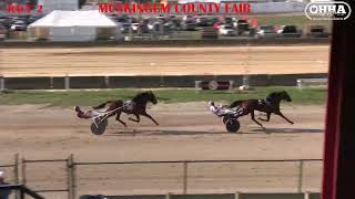 Sugar Instead Sets Track Record At Muskingum County Fair In Zanesville Ohio [upl. by Animehliw]