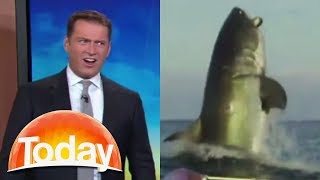 Aussie TV hosts hilarious reaction to shark footage [upl. by Etterb]