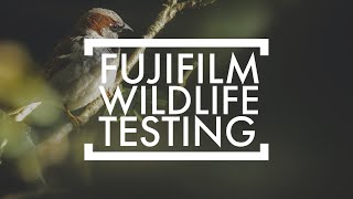 How to work out Fujifilms best lens for wildlife photography [upl. by Agace]