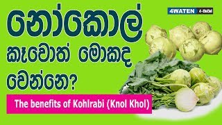 නෝකොල් කනවා නම් මේවාත් දැනගන්න  Benefits of Kohlrabi Knol Khol [upl. by Ayrolg]