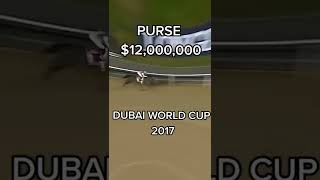 12000000 Dubai World cup Arrogate [upl. by Stine]