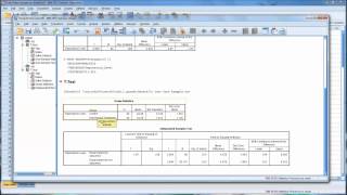 OneSample and IndependentSamples T Tests in SPSS [upl. by Aihsei]