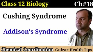 Cushing Syndrome  Addisons syndrome  Chemical coordination  Class 12 Biology [upl. by Ades]