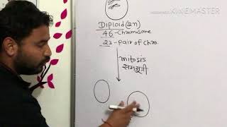 Concept of diploid and haploid cell Simplify your biology [upl. by Kutzer557]