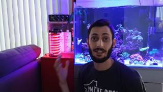 DIY Chaeto Reactor Update [upl. by Hadihahs]