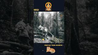 Old way to Sabarimala Ayyappa Temple  Saranam Ayyappan  Sharanam Video song  Timings Yatra [upl. by Maxi]