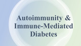 Autoimmunity amp ImmuneMediated Diabetes [upl. by Montano]