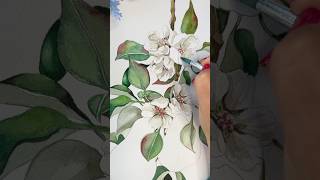 PAINT with ME watercolorpractice watercolors watercolortutorial acquerello acuarela aquarelle [upl. by Nie]