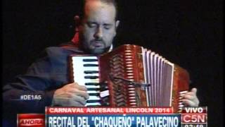 C5N  MUSICA RECITAL DEL CHAQUEÑO PALAVECINO EN LINCOLN [upl. by Nylteak]