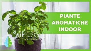 10 PIANTE AROMATICHE INDOOR 🌿 Usi e cure [upl. by Attekram]