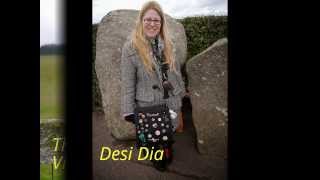 Sarsen Stone and Bluestone touching the two stones at Stonhenge 2013 [upl. by Zerdna904]