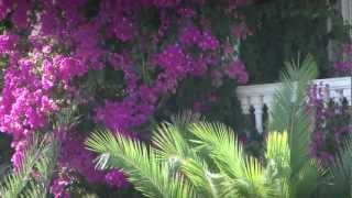 Karpathos Hotel Zephyros Village  Garden Villa [upl. by Alleon553]