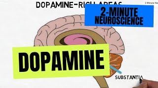 2Minute Neuroscience Dopamine [upl. by Heger]