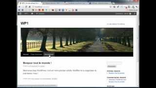 Installer dans WordPress lextension Theme My Login [upl. by Agrippina467]