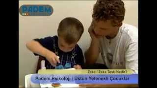 Zeka ve Zeka Testi Nedir [upl. by Angle]