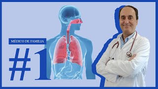 🧧¿Qué TOMAR para las ALERGIAS RESPIRATORIAS ✨Síntomas y Tratamientos✨ Alergias1 [upl. by Aronos]