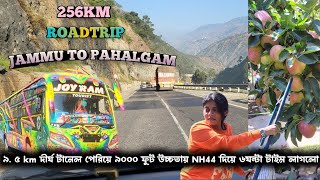 জম্মু to Pahalgam ৯০০০ ফুট উচ্চতায় NH দিয়ে ৯ ৫ km লম্বা tunnel পেরিয়ে ২৫৬ km rasta 6ঘন্টায় পৌছালাম [upl. by Eppesuig870]