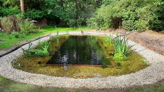 Natural Swimming Pond  Pool Build 2023 [upl. by Kciredorb]