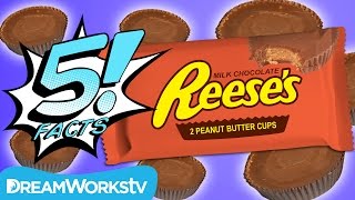 5 Facts About REESES Peanut Butter Cups  5 FACTS [upl. by Ihcego504]