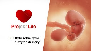 Projekt LIFE 003 Było sobie życie  1 trymestr ciąży [upl. by Sezen]