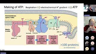 Bert Poolman  Synthetic syntrophy A platform technology for adenine nucleotide crossfeeding [upl. by Hevak]