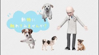 『動物に触れてみませんか』住吉病院▶️警察犬訓練所訪問 [upl. by Annad750]