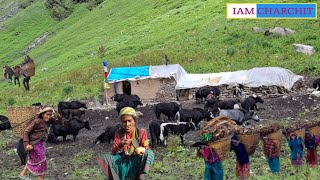 Discovering the Unspoiled Beauty of Rural Nepali Mountain Village Life living In Balance With Nature [upl. by Durrace]