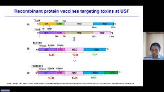 Recombinant fusion protein vaccine containing Clostridioides difficileFliC [upl. by Tenej101]