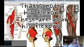 Dont Confuse Hip Flexor Weakness For Tightness [upl. by Anikahs]