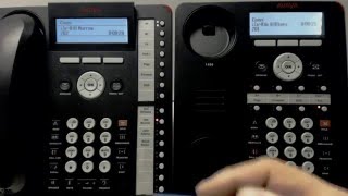 1 Basic Call Handling Avaya 1416 1408 Phones [upl. by Galen]