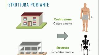 Abitazione  Struttura portante  Classi 2 [upl. by Anikal]