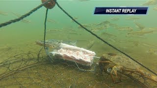 CRABBING MANDURAH WA  GoPro CrabNET  Super Clear HD Vision [upl. by Hebert]