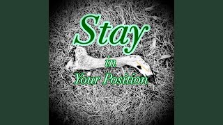 Stay in Your Position feat Pablo plexippus [upl. by Pachston]