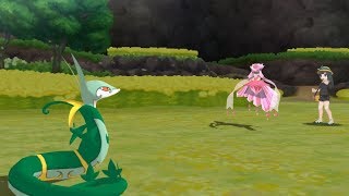 serperior sweep [upl. by Meave294]