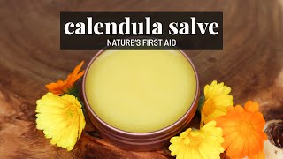 DIY Calendula Salve 🌼 Natural healing skincare for cuts burns eczema  GroundedHavenHomestead [upl. by Rotsen396]