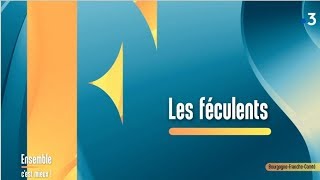 Les féculents avec une diététiciennenutritionniste  Ensemble cest mieux [upl. by Yennor]