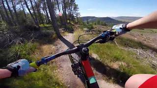 Laggan Wolftrax Lower Red  mtb [upl. by Notsnarc743]