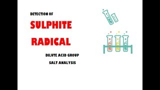 SUPHITE RADICAL  DILUTE ACID GROUP  SALT ANALYSIS  ALL PUNJAB BOARD PRACTICALS [upl. by De Witt]